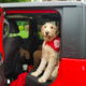 Image for article titled What It Was Like Towing a Free Jeep Grand Wagoneer With the 2020 Jeep Gladiator